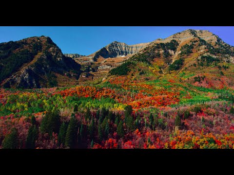 COLORFUL HARVEST 8K HDR (FUHD) 60P (DolbyVision)