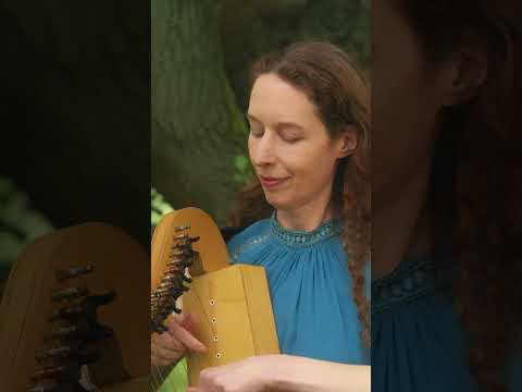 French Lullaby in dreamy foxglove forest #celticharp #harp #relaxing