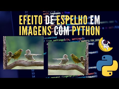 Tutorial Python | Efeito de Espelho em Imagens com Python - Tutorial Divertido