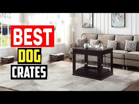 ✅Top 5 Best Furniture Style Dog Crates for Fashion and Function in 2024