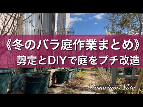 《冬のバラ庭作業まとめ》剪定とDIYで庭をプチ改造