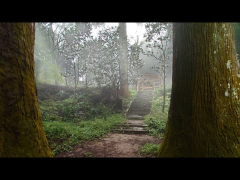 八王子神社 お詣り 牛頭天王 20221010 城跡に歴史あり【京王レイライン】