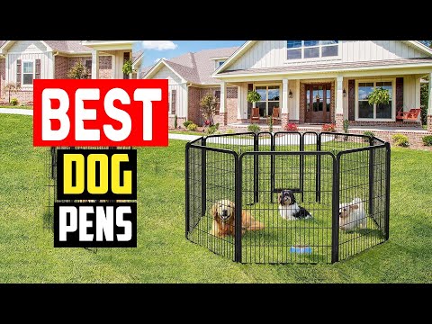 ✅Best Dog Pens in 2023