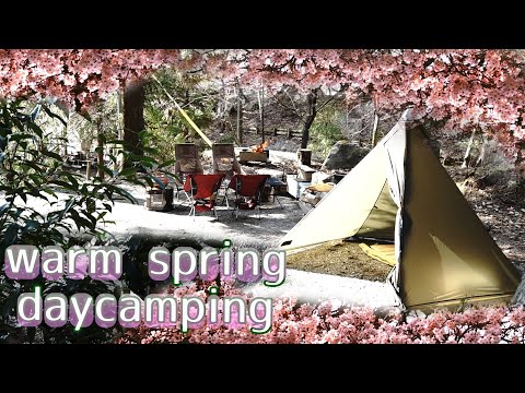 【camp】warm spring camping  新幕初張りデイキャンプ（ちょっと花見）　ogawa tasso ul  オガワ　タッソUL