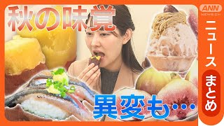 【秋の味覚】旬の食材にグルメ 猛暑でおトク？"進化系"スイーツ 異常発生で農家悲鳴も【ニュースまとめ】ANN/テレ朝