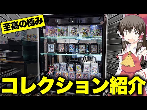 【ポケカ】値段もヤバいｗ激熱ポケカコレクションを詰め込んだディスプレイが完成したので早速紹介するゆっくり実況者【ポケカコレクション】推しの絶版ボックスと推しカードたちはまさに至高【ゆっくり実況】