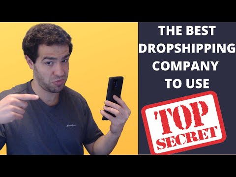 The Perfect Dropshipping Company To Use (REVEALED)