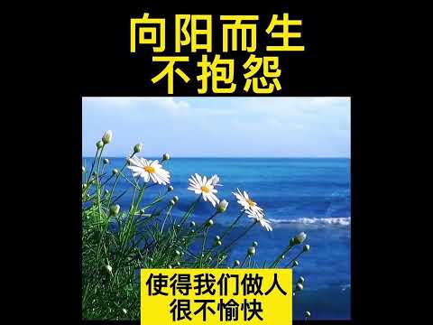 曾仕强：向阳而生