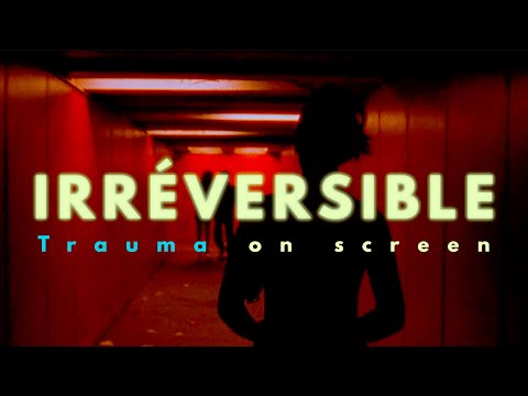 Gaspar Noé’s Irreversible Damage