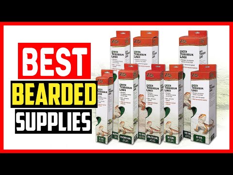 ✅The 5 Best Bearded Dragon Supplies of 2023