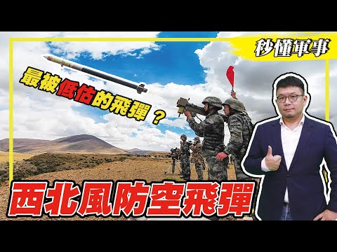 【防衛國土必備武器－防空系統】最被低估的飛彈？「西北風防空飛彈」烏俄戰爭防空守護者 Feat.軍事專家許智翔｜秒懂軍事