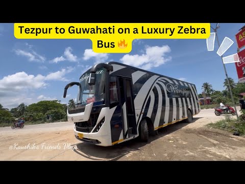 Tezpur to Guwahati Bus Journey in 2x2 Luxuy Zebra Bus🔥