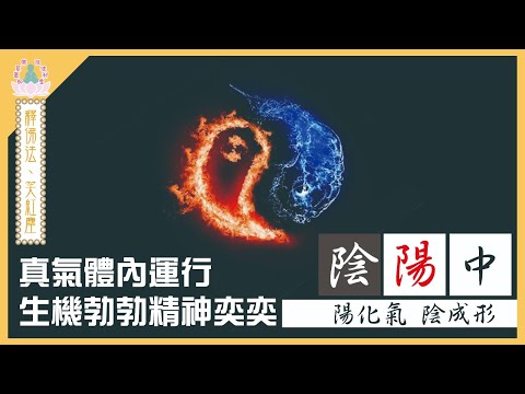 【 象神金殿 】 : 《 佛系真如 弘法利生 》 | 釋佛法  笑紅塵 | 陰陽•中 | 住持現場弘法分享 | 粵語講述 | 中文字幕 | Imbalance of Yin and ......