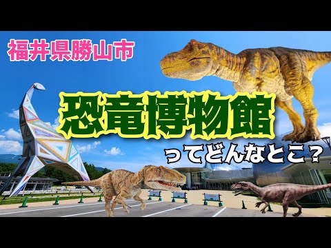 【恐竜博物館】現役ツアコン目線で歩く！福井県立恐竜博物館