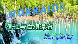 北海道房车行｜绝美的青池（青い池）和白须瀑布(白ひげの滝)