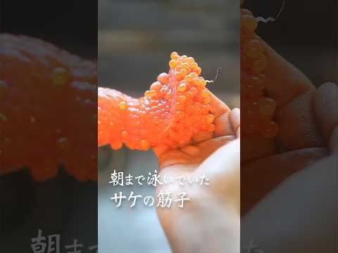 【飯テロ】古民家料理教室 貧困女子の簡単一人めし  Japanese hot springs りんの田舎暮らし#shorts