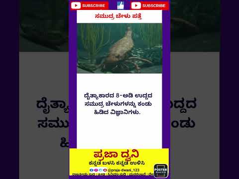 ಚೇಳು 🕵️🕵️#kannada #ಕನ್ನಡನ್ಯೂಸ್ #ಕನ್ನಡಸುದ್ದಿಗಳು #karnataka #ಕನ್ನಡ #short