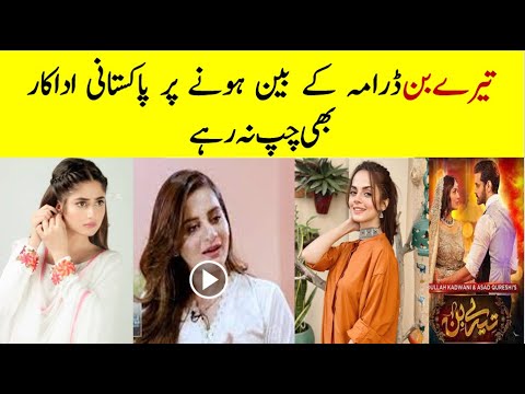 Pakistani Actors Reactions  Against Tere Bin Drama  Ban #terebin #yumnazaidi