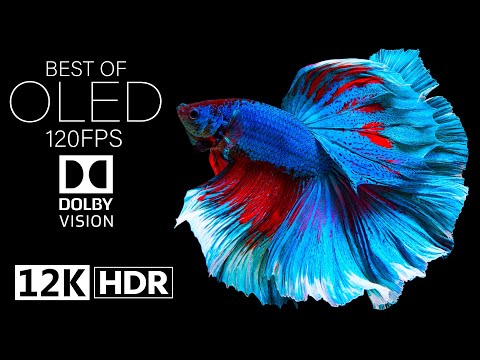 Dolby Vision 12K HDR on 120fps OLED Screen! 🌟