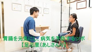 暑すぎる夏…食欲不振、体の疲れといった夏バテにはこのツボ（足三里）を使おう！【兵庫県小野市　こころ鍼灸整骨院】