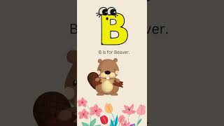 alphabet B  #preschool #abc #toddlers  #learning #alphabet