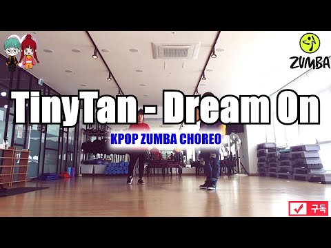 TinyTan(BTS) - Dream On 줌바 KPOP ZUMBA PRE-Cooldown CHOREO 다이어트 댄스 FIT DANCE WORKOUT + MIRROR MODE.