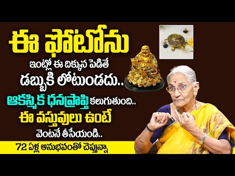 Vastu for Tortoise Idol at Home | Best Home Vastu Tips | Anantha Lakshmi | TSW