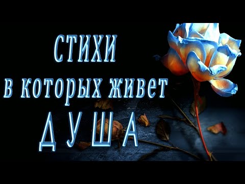 Одно из сильнейших стихотворений Сергея Есенина. Стихи о жизни.