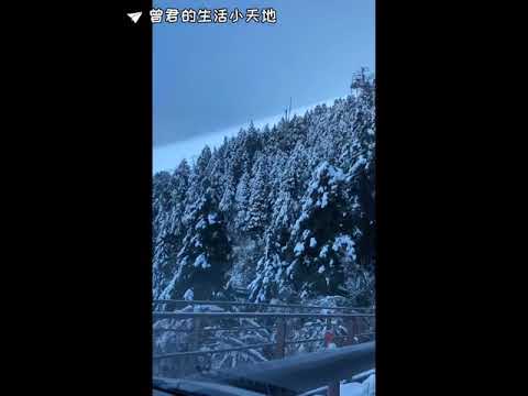 #太平山 #見晴懷古步道 #賞雪 2021台灣下雪了～～