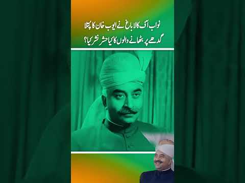 nawab of kalabagh ny sadar ayunb khan ka putla  gadhy par bithany walon ka kia hashar nashar kia ?