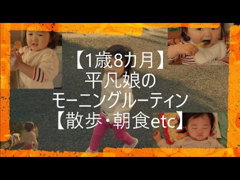 【1歳8カ月】平凡娘のモーニングルーティン【散歩・朝食etc】