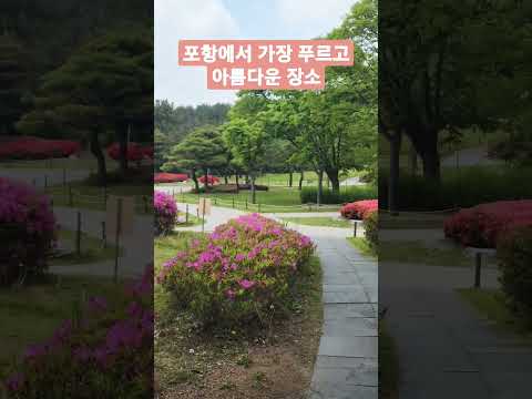 포항 지곡 영일대호텔앞 공원 산책로