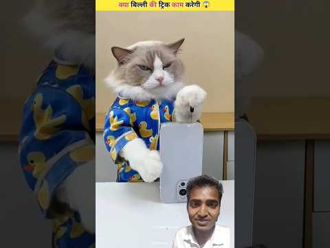 क्या बिल्ली को ट्रिक काम करेगी 😱🥰#shortsfeed #viralshort#amazingfacts #cat#factsinhindi #viralvideo