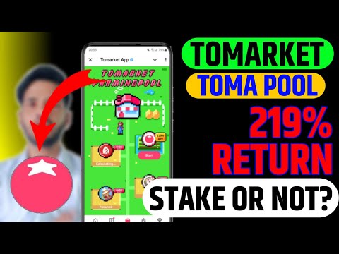 TOMARKET TOMA POOL 219% RETURN | STAKE OR NOT? | TOMARKET AIRDROP UPDATE TODAY