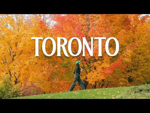 toronto, we're home (autumn edition)!