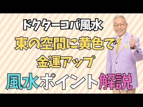 【東の空間に黄色で金運アップ】新龍神勝負財布ゴールド