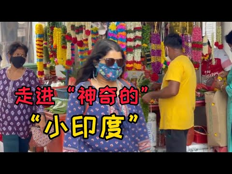 新加坡的“小印度”神奇在哪里？