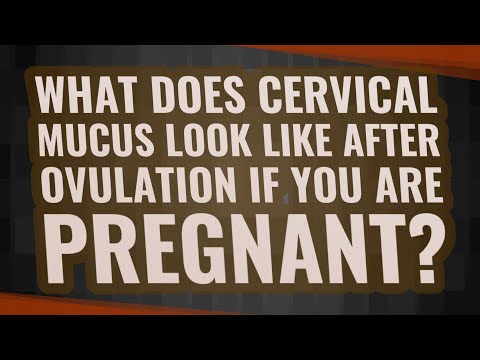 What does cervical mucus look like after ovulation if you are pregnant?