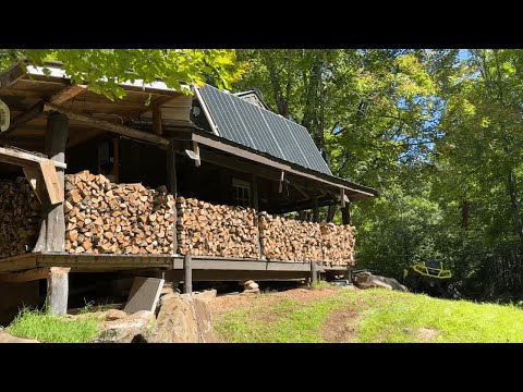 Collecting firewood at the Off-Grid Cabin | Marking trees for Maple Syrup 🪵 🍁