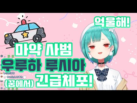 코이츠 결국엔 경찰한테 붙잡혀버린 www 【우루하 루시아/홀로라이브/Hololive】