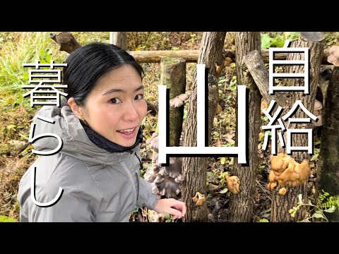 【ひとり山暮らし】助っ人母と芋の収穫　Japan countryside vlog