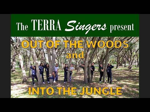 Out of the Woods and into the jungle