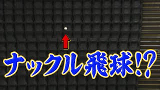 今川優馬がビビった『ナックル飛球』