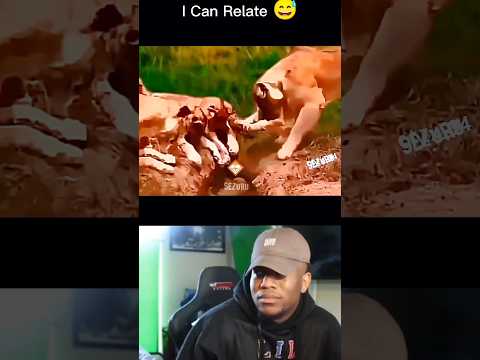 Try not to laugh 😂😂 #shorts #funnyshorts #shortsviral #memes