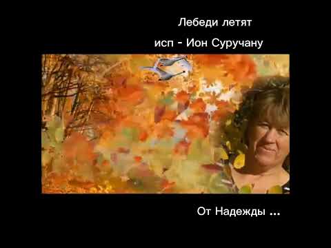 @Лебеди летят 🦢🦢🦢 - Авт текста - Ян Райбург - Исп Ион Суручану - 🍁🍂🍁