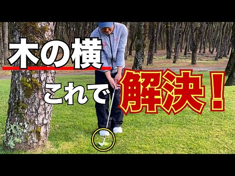 【木の横】これを見れば悩みが解決できます！