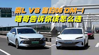 比亚迪秦L vs 海豹06 DM-i怎么选？告诉你区别听我劝错不了