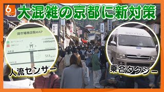 【オーバーツーリズム再燃】秋本番の京都は大混雑　観光と住民生活を両立するための新対策とは