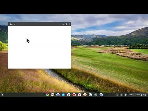 ChromeOS | Linux Development Environment | Close LDE