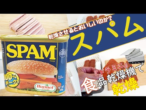 【スパムジャーキー】スパムを乾燥させるとおいしいのか？（ドラミニ）